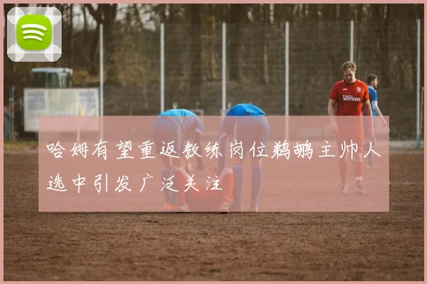 哈姆有望重返教练岗位鹈鹕主帅人选中引发广泛关注
