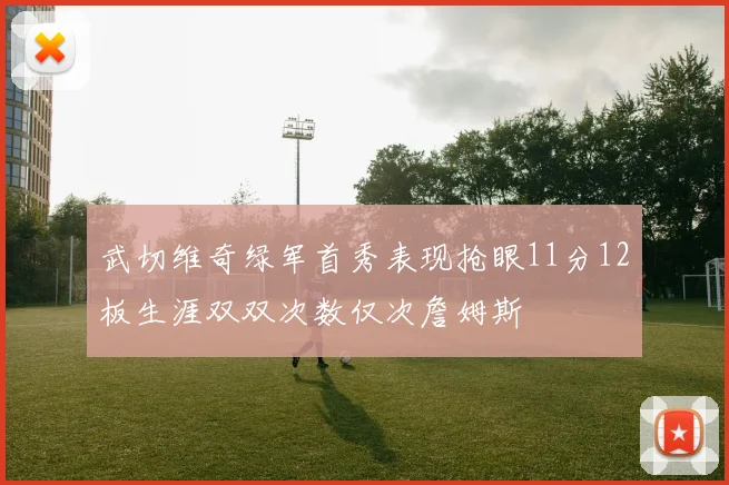 武切维奇绿军首秀表现抢眼11分12板生涯双双次数仅次詹姆斯