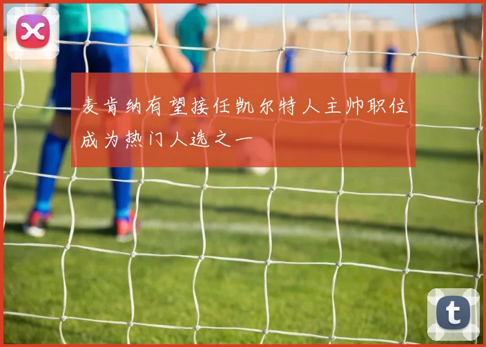 麦肯纳有望接任凯尔特人主帅职位成为热门人选之一